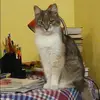 Отзыв от Эмма Козлова